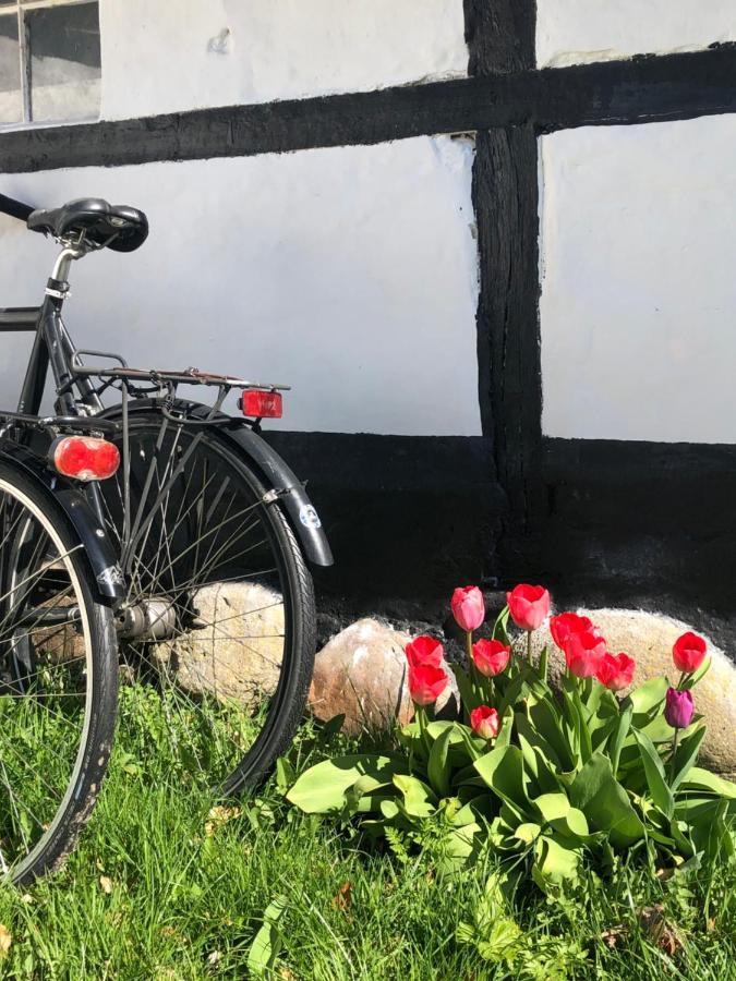 Apple Cottage Vejby Dış mekan fotoğraf
