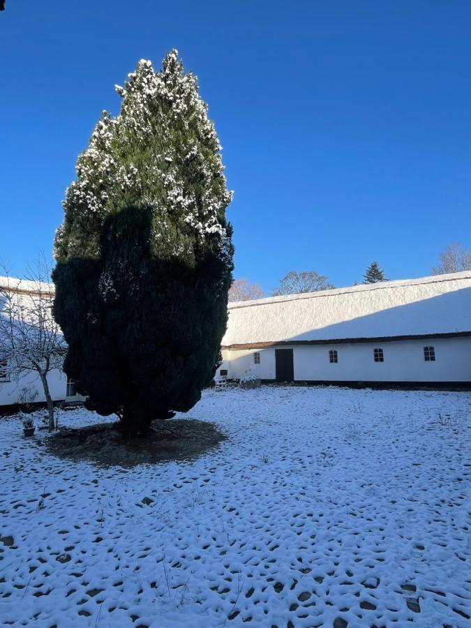 Apple Cottage Vejby Dış mekan fotoğraf