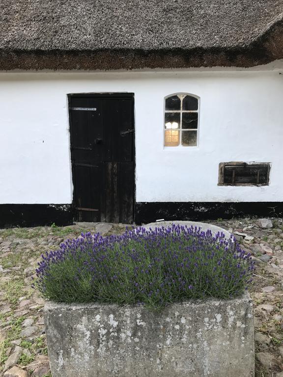 Apple Cottage Vejby Dış mekan fotoğraf