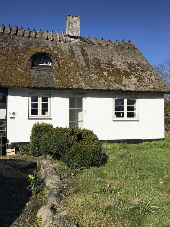 Apple Cottage Vejby Dış mekan fotoğraf