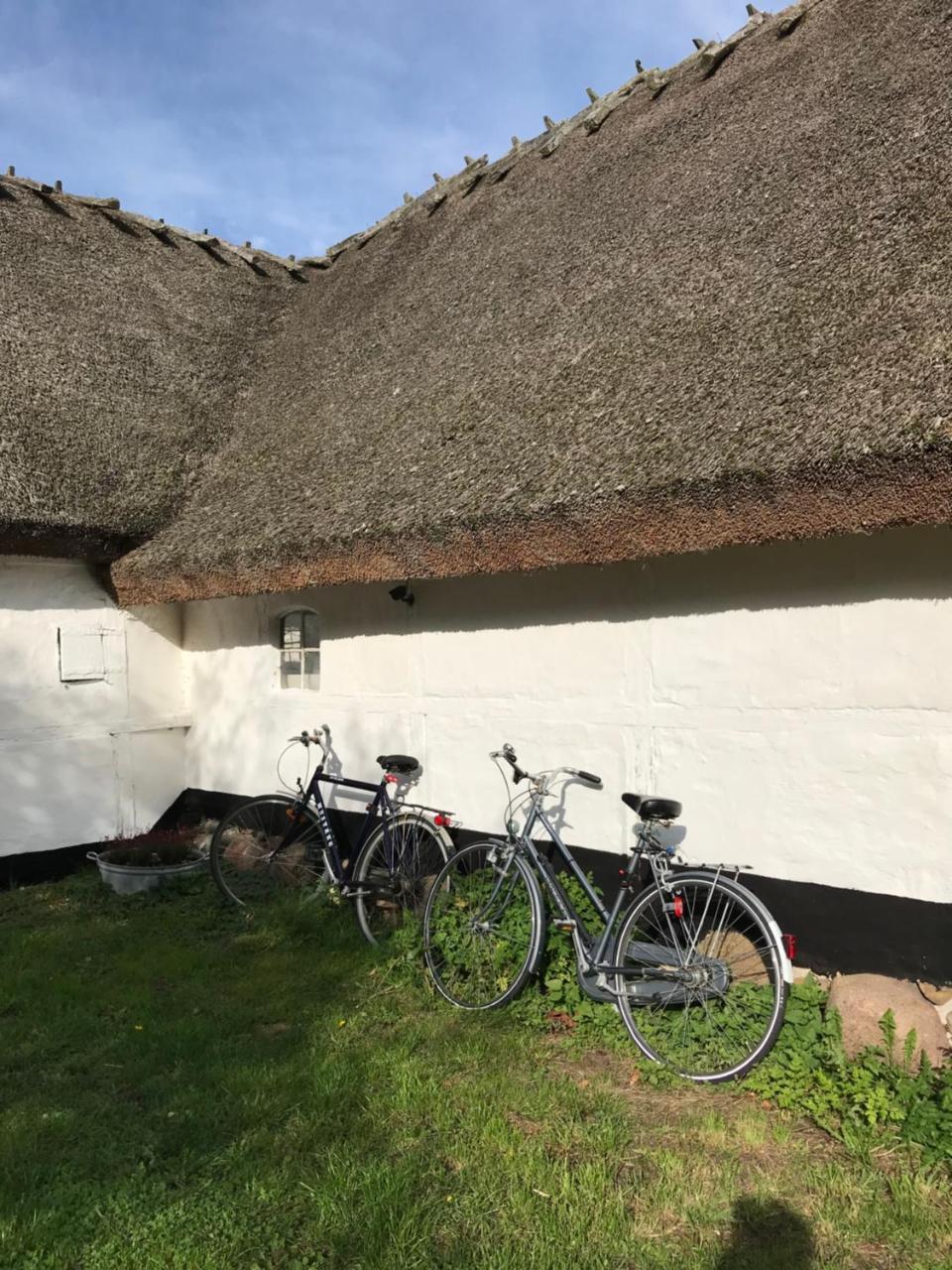 Apple Cottage Vejby Dış mekan fotoğraf
